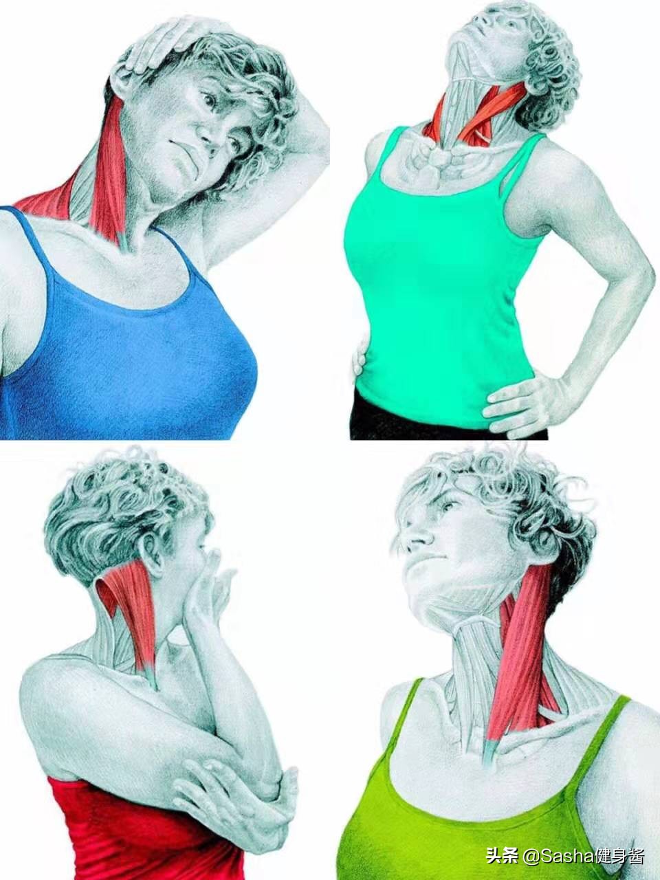 肌肉筋膜按摩枪有什么副作用吗,肌肉筋膜按摩枪的正确使用方法