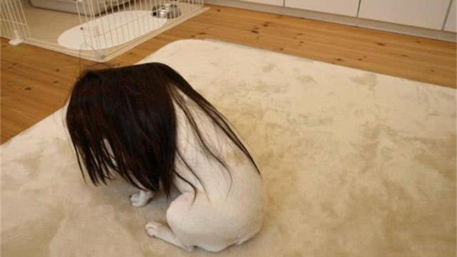 逼疯二次元缉毒警察,被二次元逼疯的人