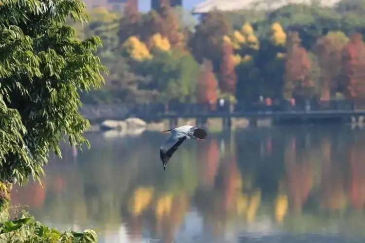 广州周边游一日游刺激,广州周边特价游