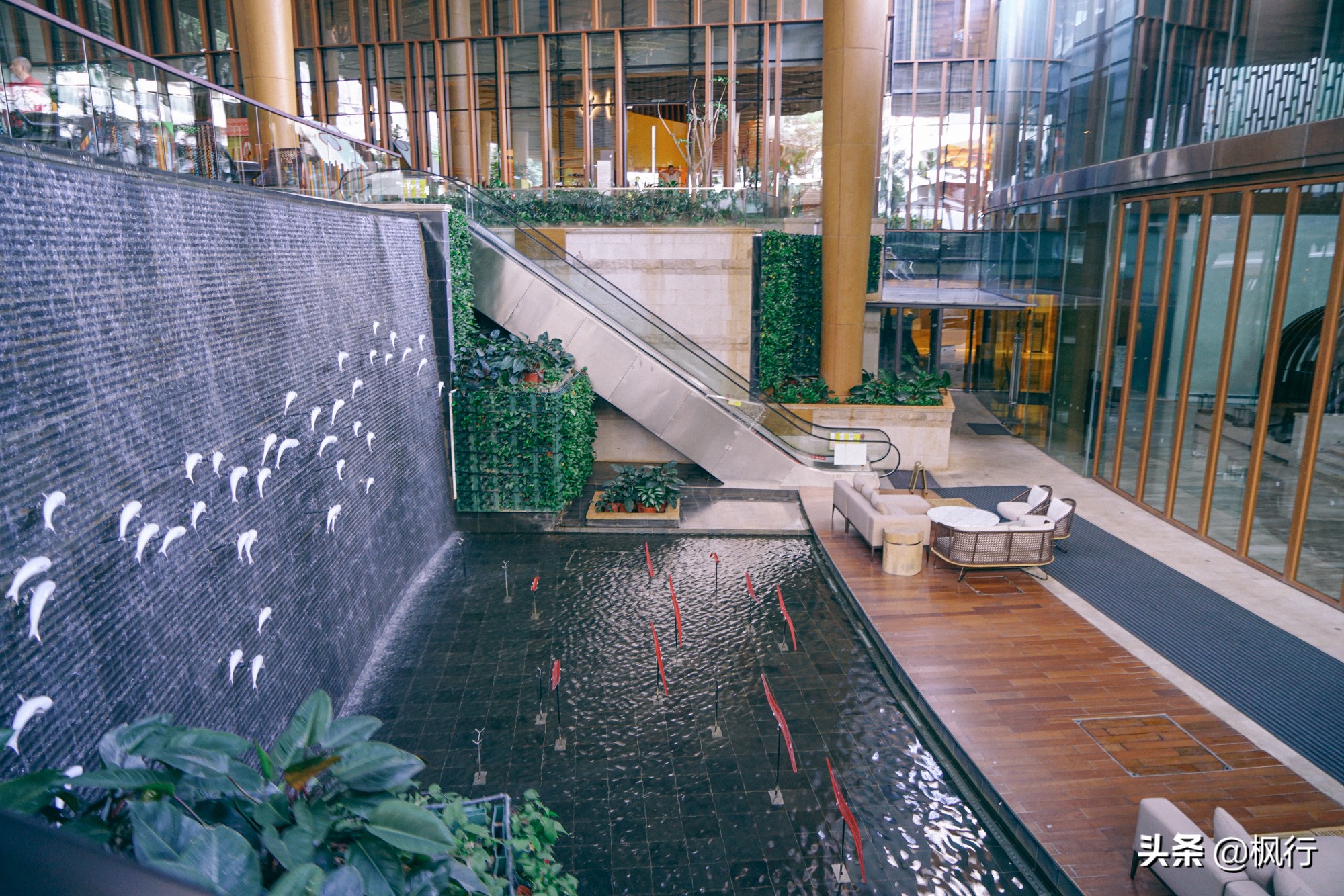 被猴子袭击，门票昂贵，拍照被轰，被我全程吐槽的三亚到底值不值