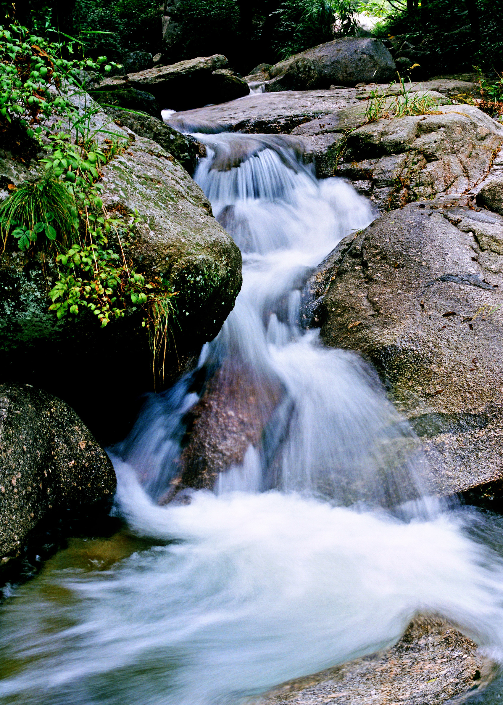辽宁省大营镇：飞瀑流泉的“水世界”