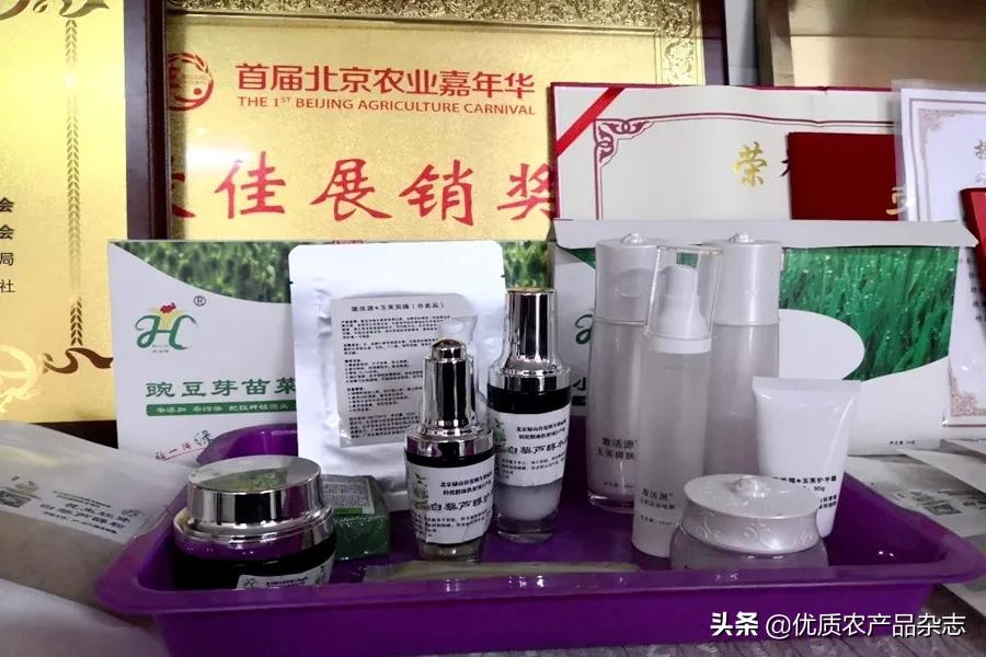 不用土壤不用肥,一张白纸种芽菜!张桂琴:小芽菜成就新型农业大梦想