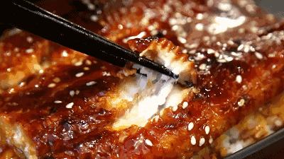 为什么鳗鱼产卵死亡,鳗鱼产卵后死亡被发现了吗