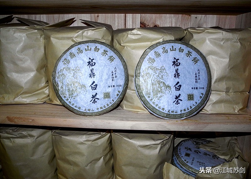 在远隔福鼎千里的大学生创业园，我们见识和品赏了福鼎白茶