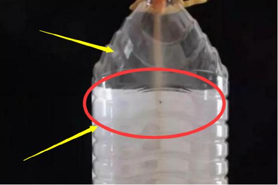 油桶种菜种植技术图解,空油桶种菜怎样种得多