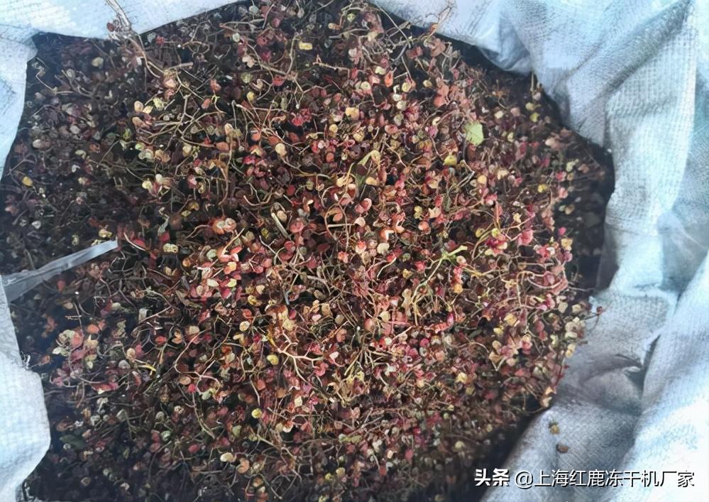 山东大型花椒烘干设备,潍坊花椒干燥设备报价图片