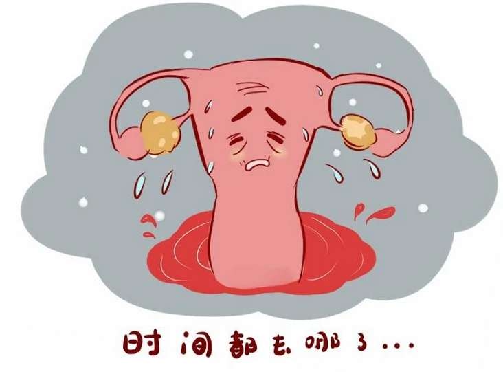 amh对卵巢有影响吗,amh和卵子质量有关系吗