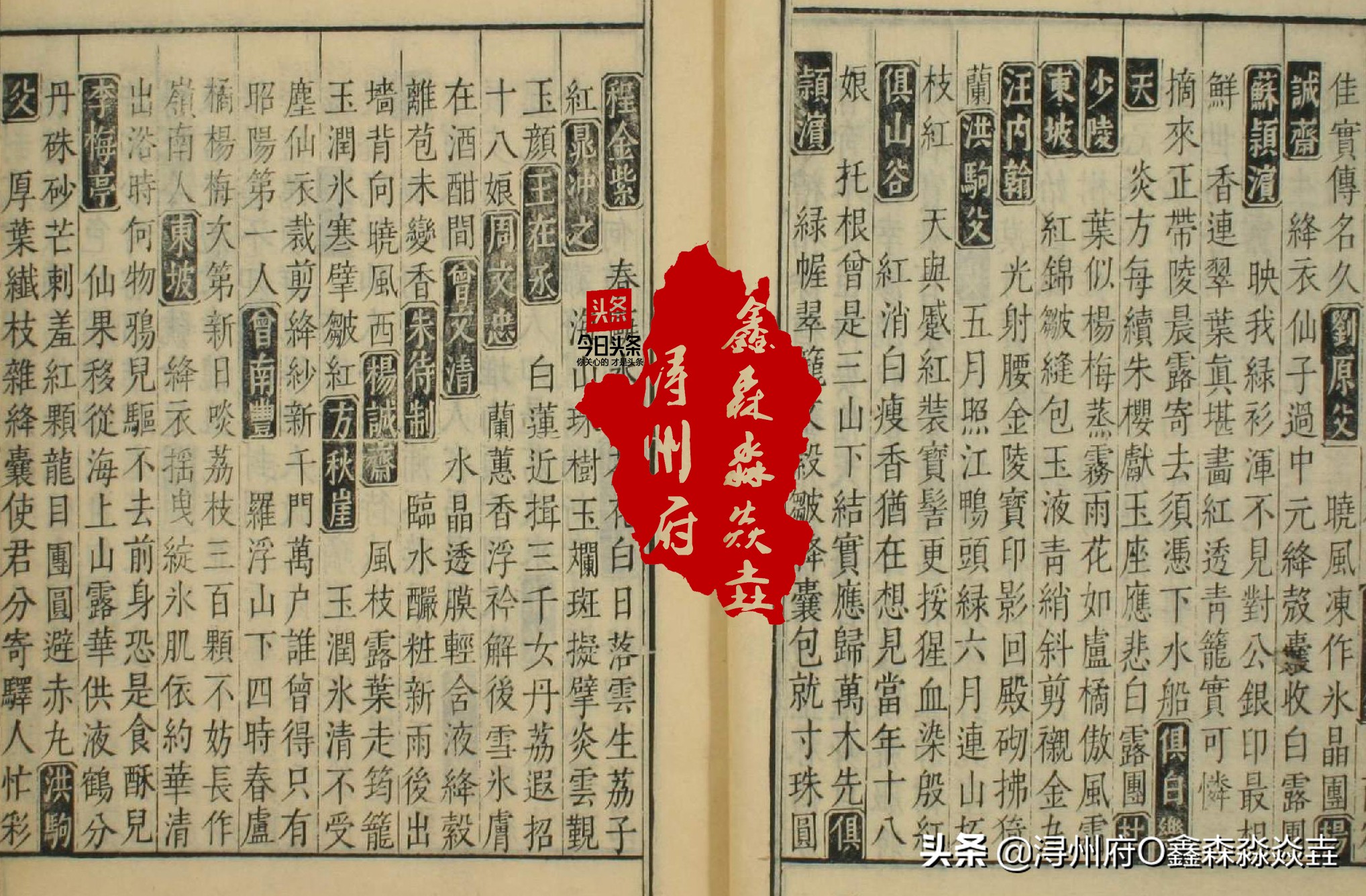 桂平麻垌中国荔枝之乡的石碑,麻垌荔枝之乡在哪里