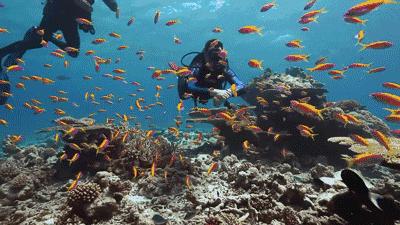 广东海岛打卡网红地,广东小众海岛打卡