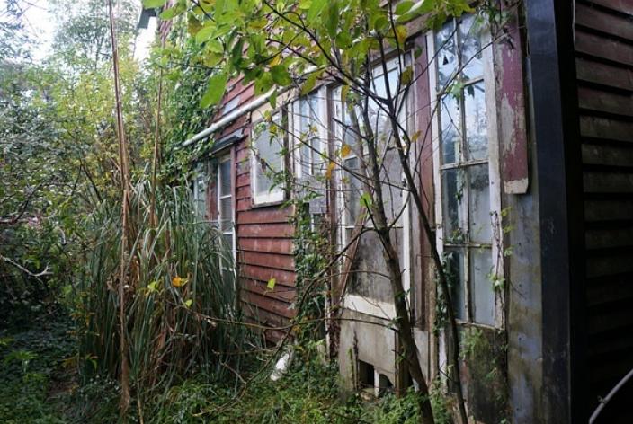 顾城杀妻自尽的原因,顾城杀妻自尽后