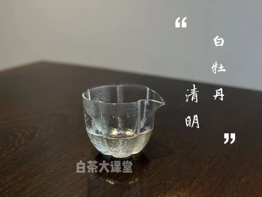 白茶好茶的标准,怎么样的白茶才是好茶