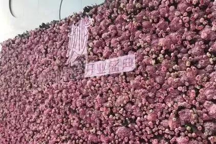 范冰冰美容院开门了吗,范冰冰美容院开业到场明星