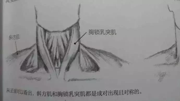 治疗咽喉肿痛有什么特效药,咽喉肿痛吃什么药