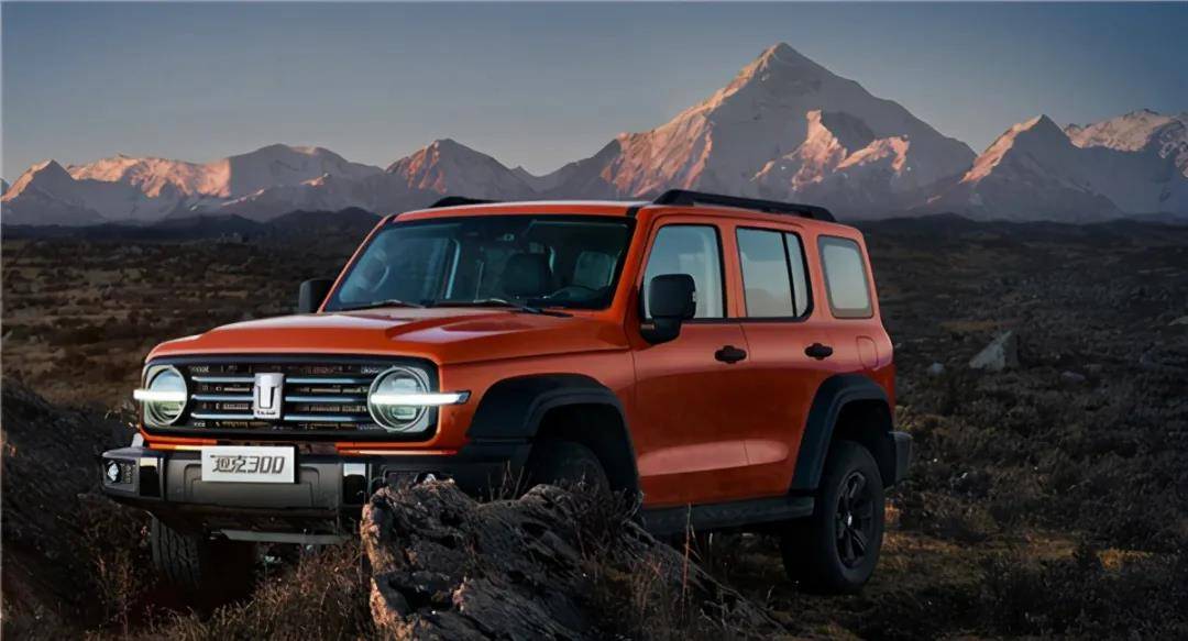 鍥涘ぇ杞﹀瀷,鍥涘ぇ绯诲垪鍙樿韩