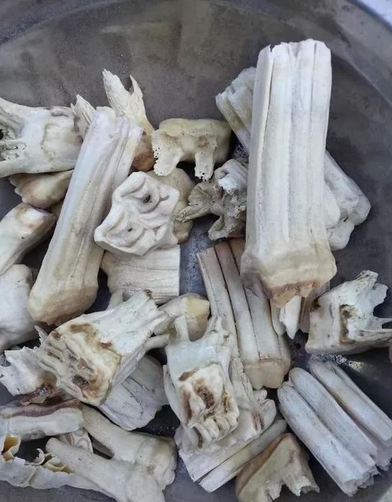 马骨手串圆珠,马骨手串价格及图片