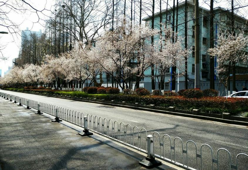 建筑学专业大学排名全国前100,建筑学专业大学排名前200名