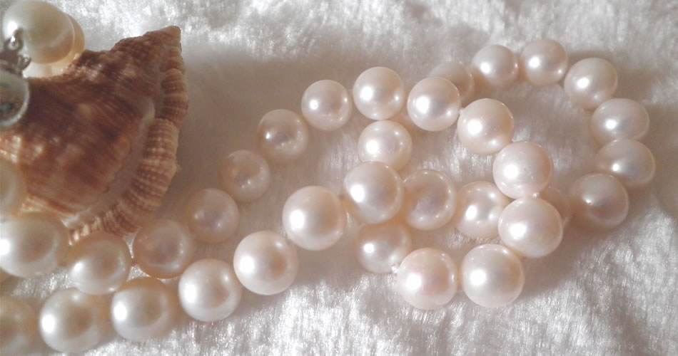 珍珠粉是公认的美白高手,真正美白的珍珠粉