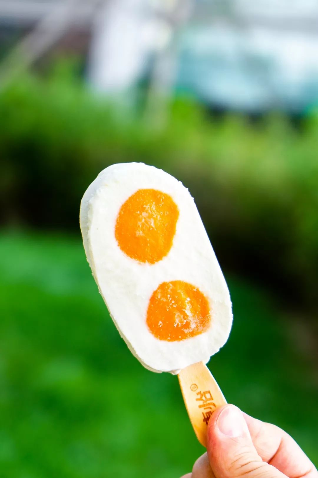 榴莲糯心雪糕,榴莲即食雪糕糯米糍