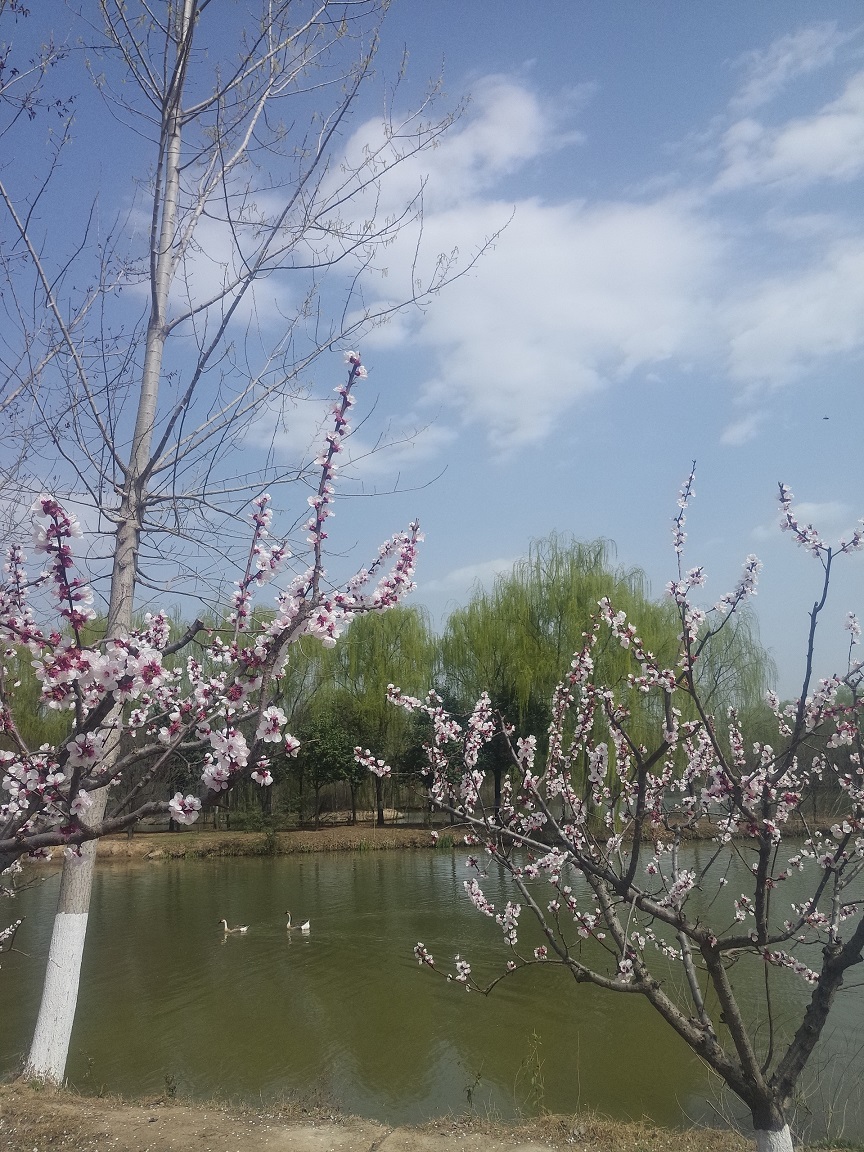 西安浐灞湿地公园内免费游玩推荐,西安浐灞亲子儿童乐园