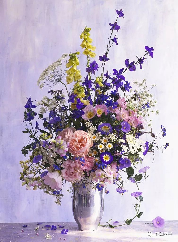 衣草精油真假辨别方法视频,薰衣草真假辨别图解大全