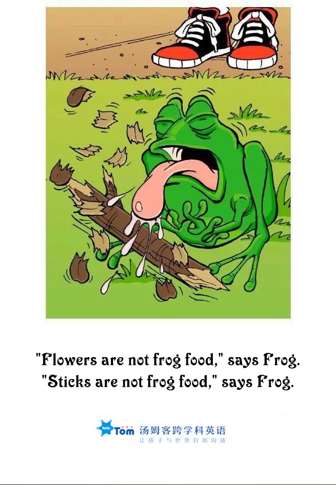 tom猫讲故事,tom讲口才