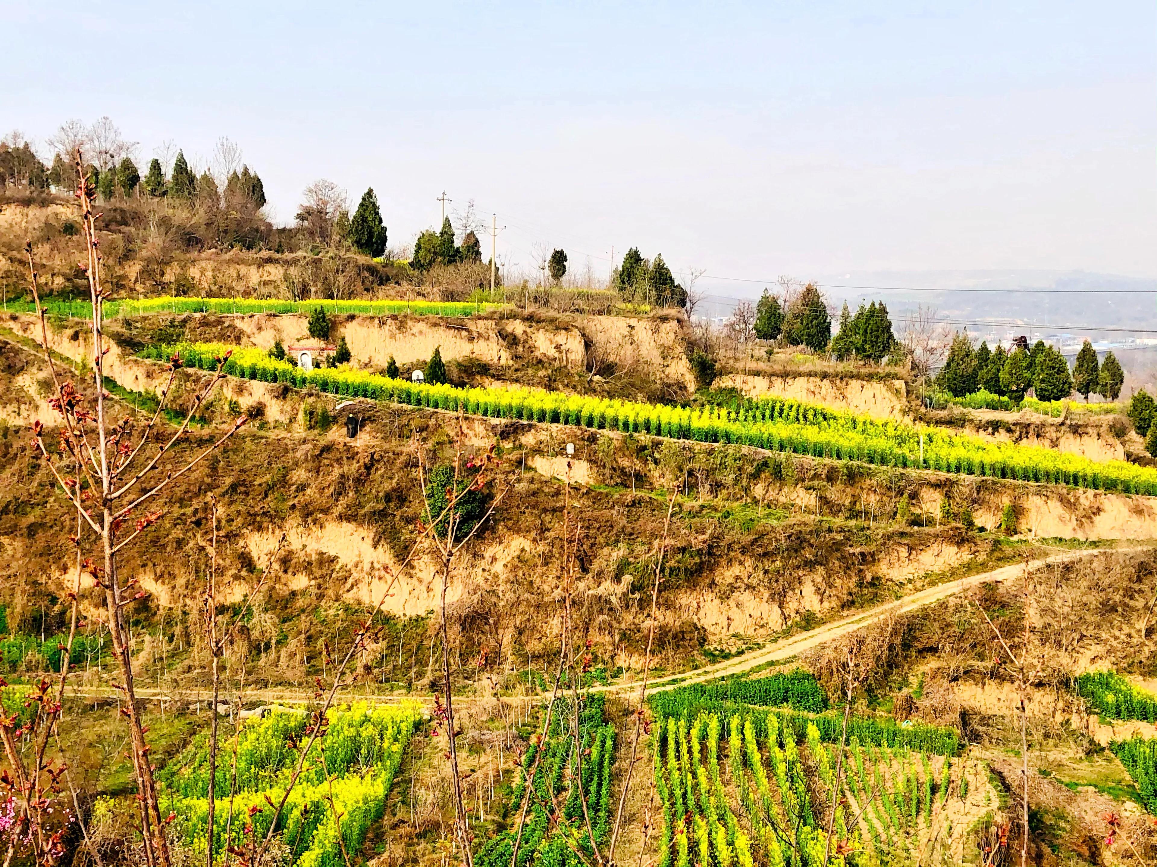 金塘半日游,白鹿原一日游攻略