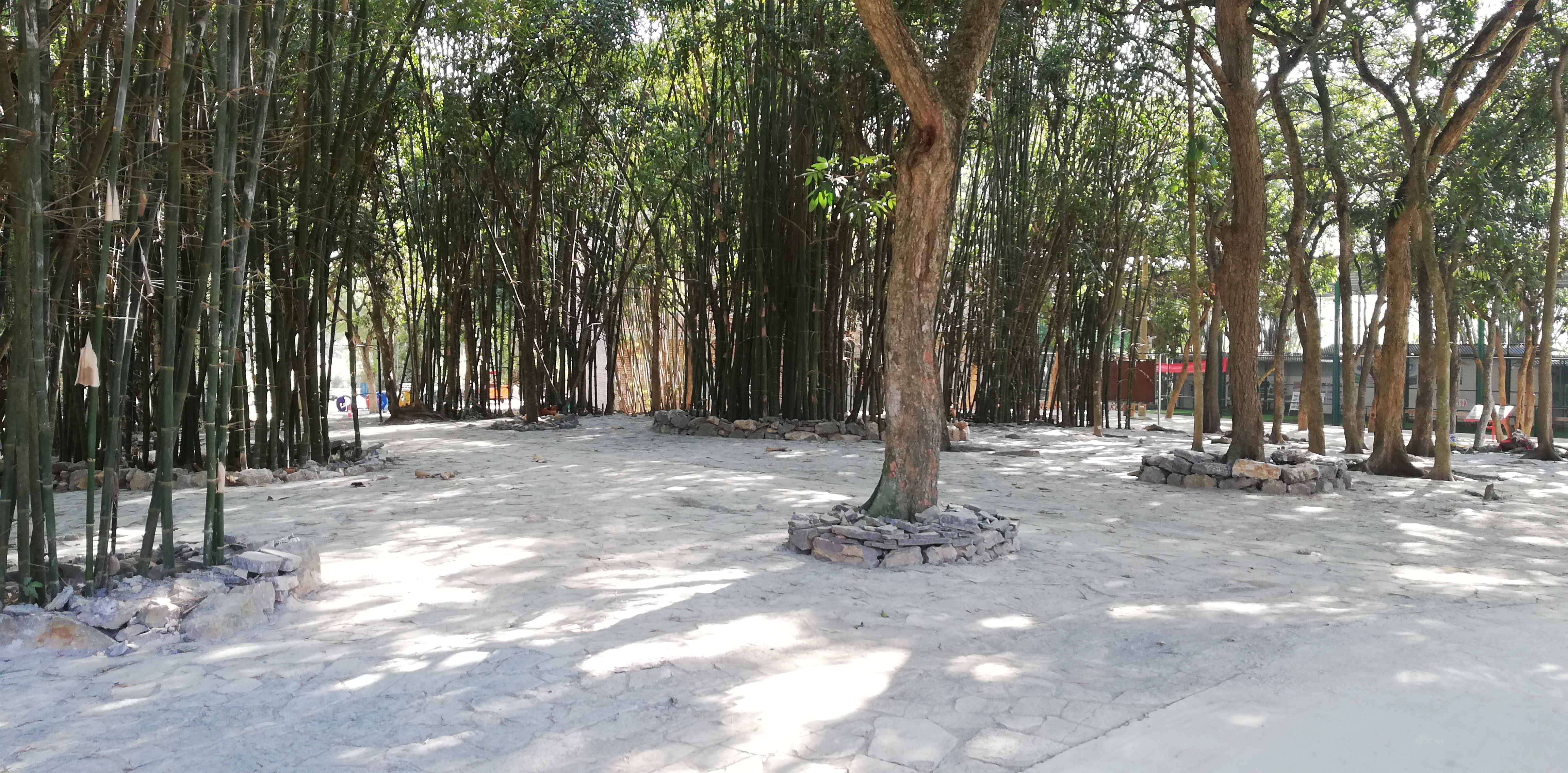 狮环屯,狮环乡村振兴