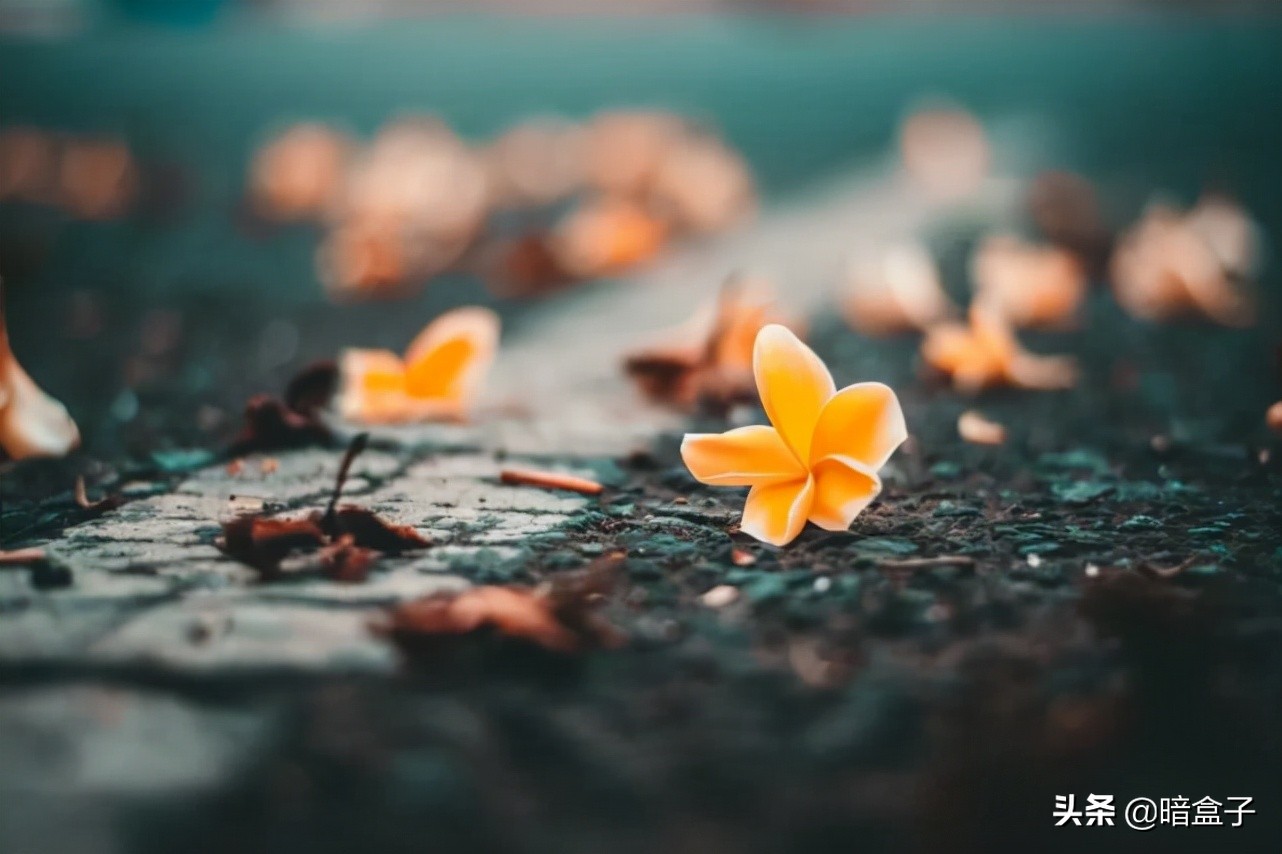 道德经对道的观点有哪些,怎样看待道德经里面的道