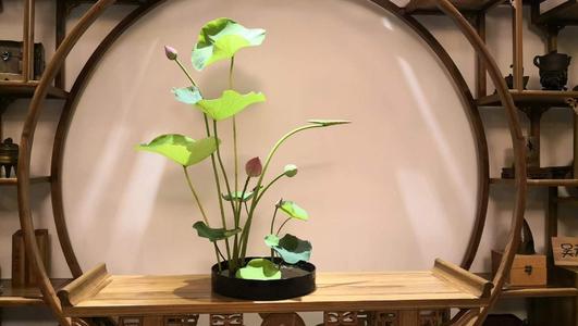 鲜花插花技巧专业术语,插花常见鲜花名称大全