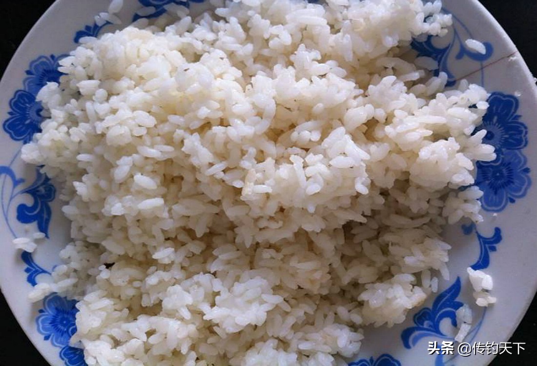 冬钓可用米饭做饵,馊了的米饭打窝钓鱼好用不