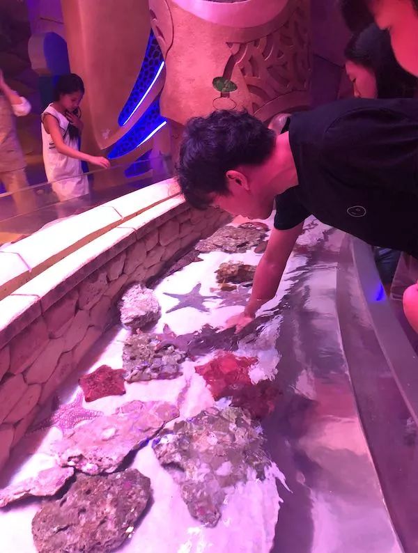 5天亚特兰蒂斯亲子游,带孩子亚特兰蒂斯游玩