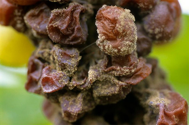 葡萄酒入门怎么选,葡萄酒入门怎么挑选酒精度