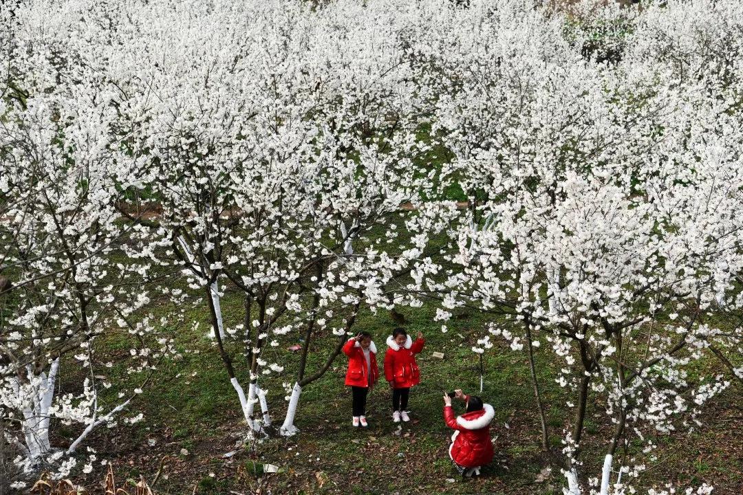 彪炳史册的脱贫攻坚战,彪炳史册的六个伟大成就