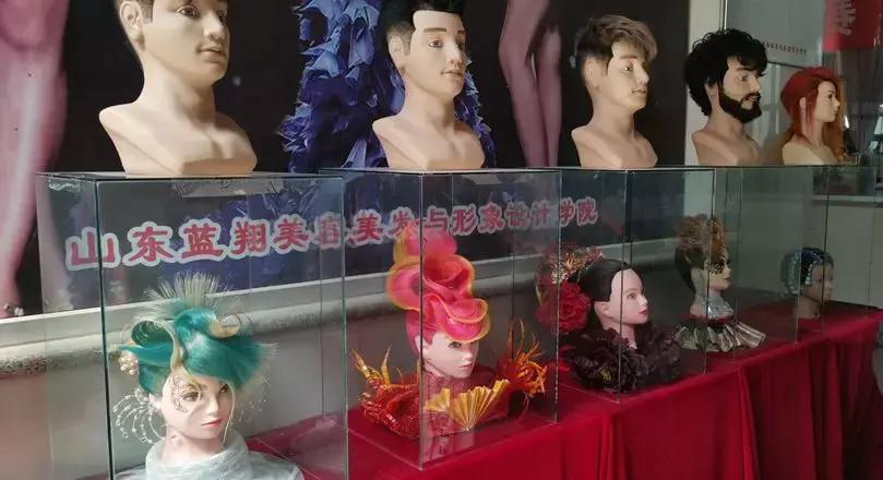 山东蓝翔学挖掘机视频,蓝翔学开挖掘机