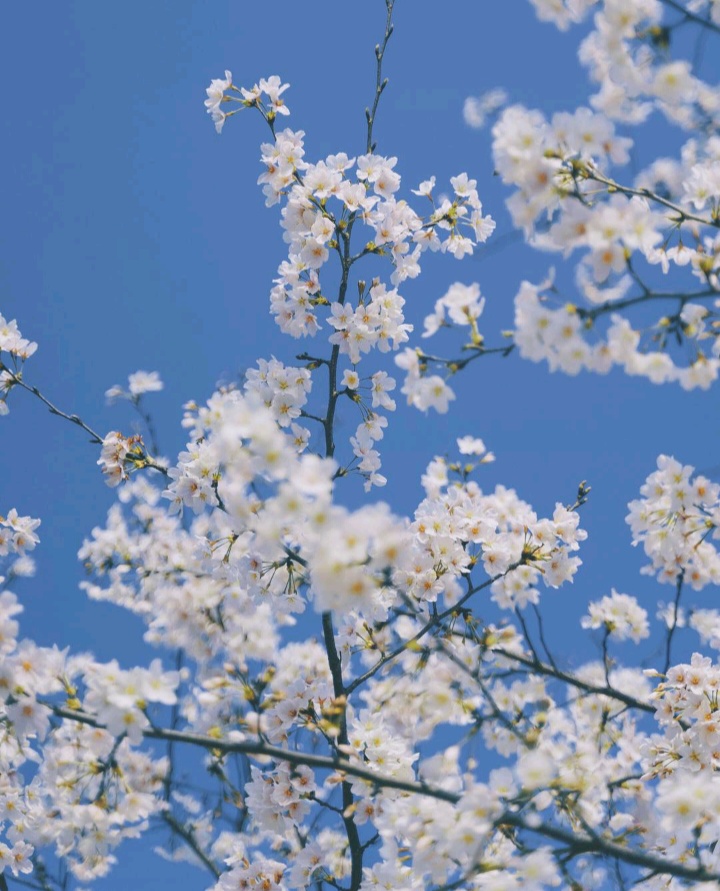 天生反骨喜欢跟人反着来,喜欢整人有反骨的星座