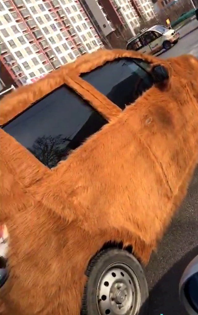 汽车都穿上皮草了，我们还有什么理由不努力？