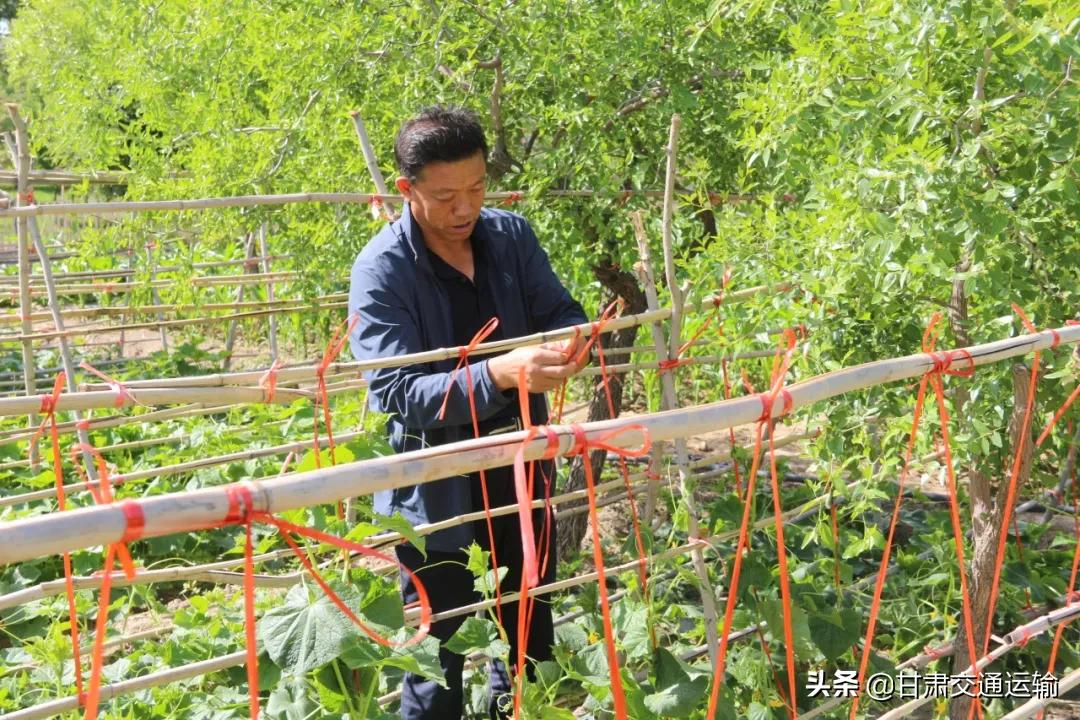 听老一辈交通人讲“八棵树”的故事⑫|他们的名字叫“奉献”