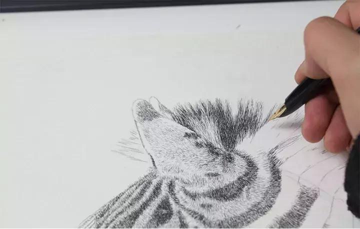 小央美钢笔画视频,极品五大钢笔画简直美爆