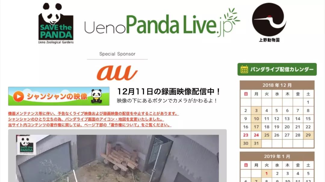 马来西亚为啥退换大熊猫,马来西亚退还中国大熊猫是真的吗