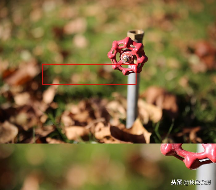 永诺35mmf2和1.8怎么选,永诺50mmf1.8和富士xc35mmf2.0