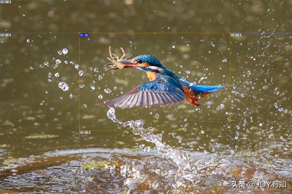 photoshop切片,photoshop切片工具怎样单独填充