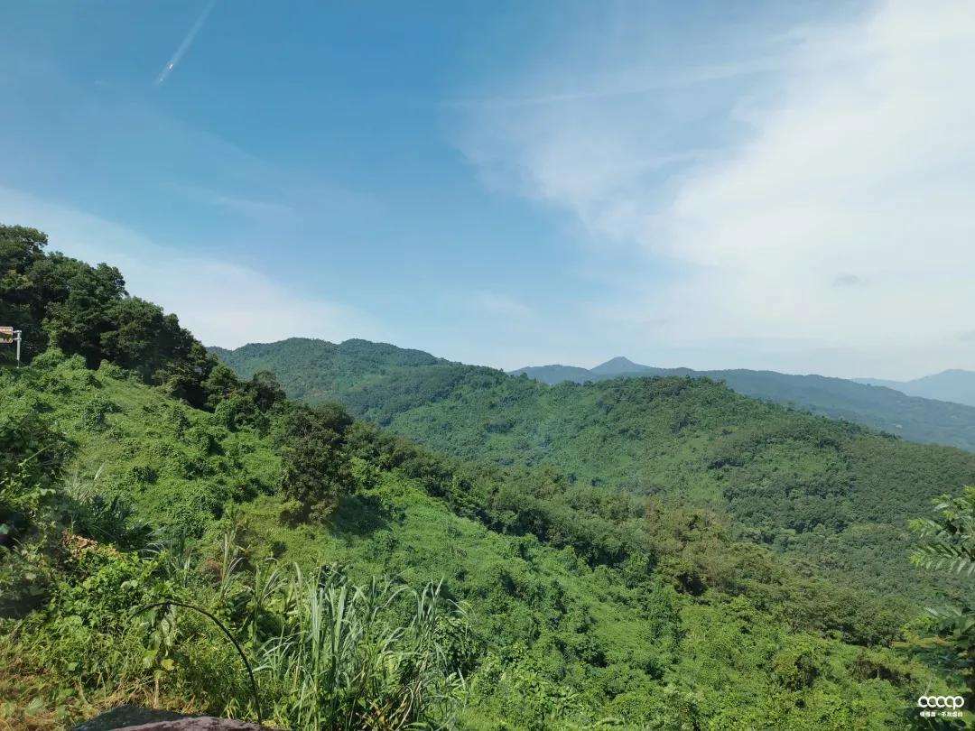 星月五指山料和毛感料区别,海南毛感星月介绍