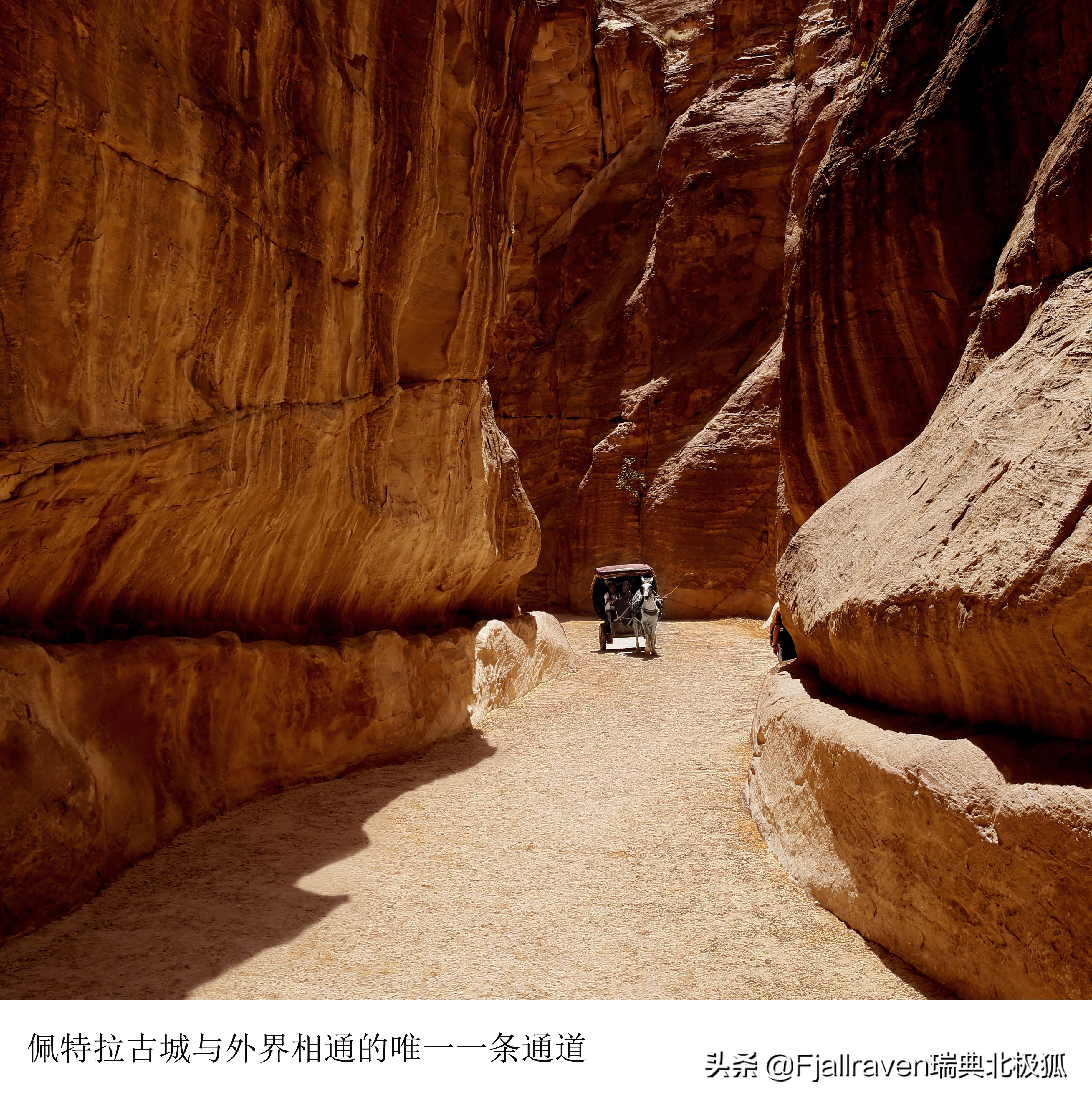 西夏蒙古大战,蒙古第三次入侵西夏