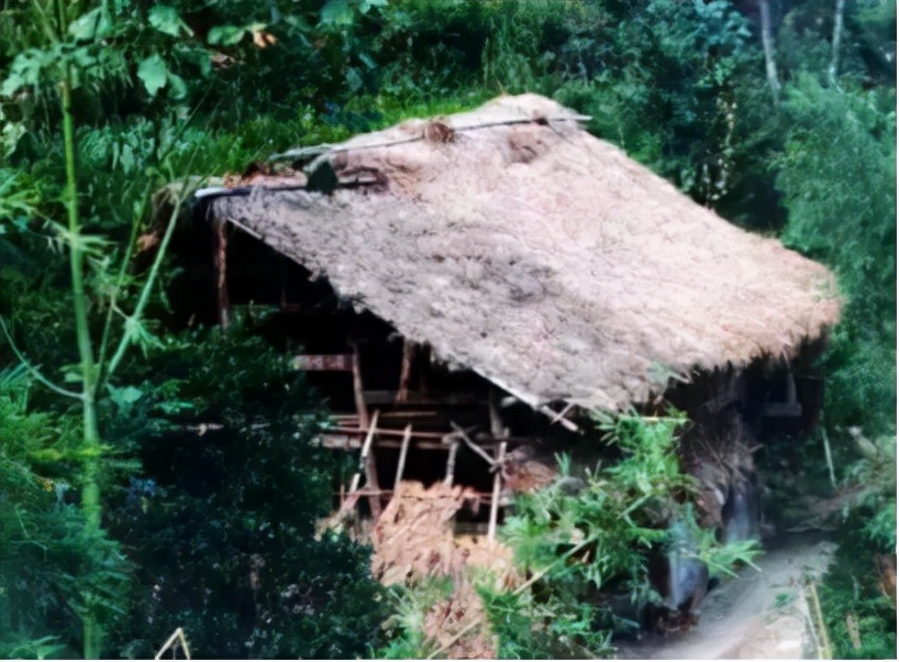 无穷之路最佳纪录片,无穷之路扶贫