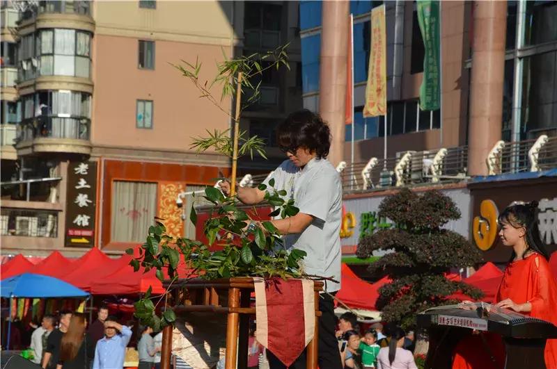 “美丽森呼吸”传统文化专场活动火爆开演，就是要你目不暇接！