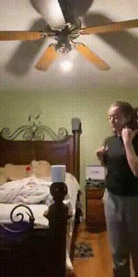 什么方法显脖子长,怎么证明脖子长