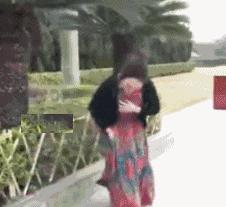 搞笑gif开心一刻单身也挺好,搞笑gif开心视频