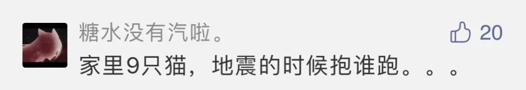猫地震的时候没有反应,地震了猫会有反应吗