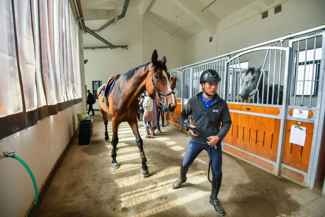 武汉第七届军运会马术障碍赛,军运会马术障碍赛第一场比赛