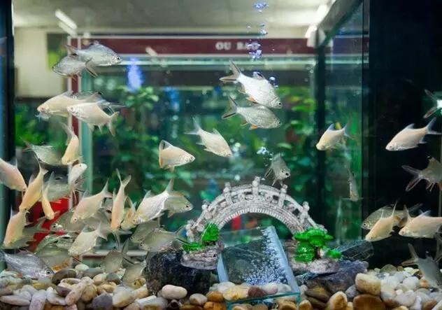 昆明游玩攻略不花钱的地方推荐,昆明市市区游玩攻略